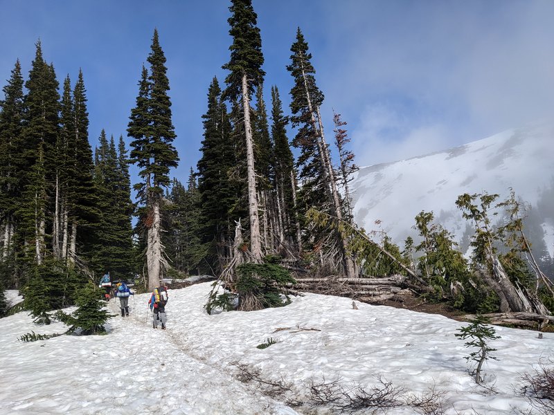 PXL_20220704_004457192